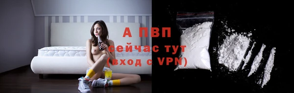 гашик Коряжма
