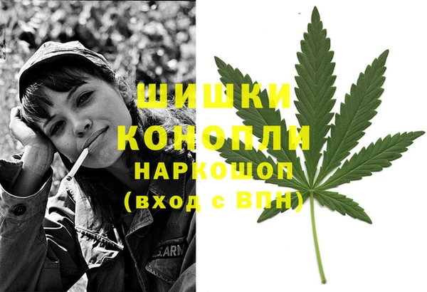 гашик Коряжма