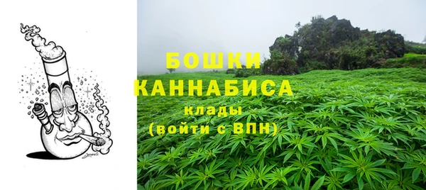 гашик Коряжма