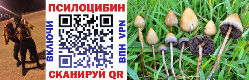 Псилоцибиновые грибы мухоморы  Заринск 